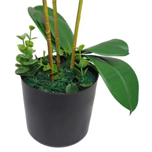 Large Artificial Orchid Display XL Metal Bowl Planter 70x70cm Realistic - Picture 5 of 5