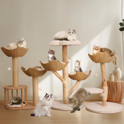 Kratzbaum Katzenbaum Sisal groe Katzen Kletterbaum Katzenkratzbaum  Massivholz | eBay.de