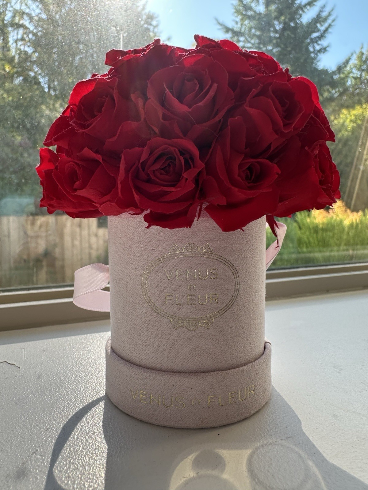 Venus Et Fleur Mini Le Plein Roses