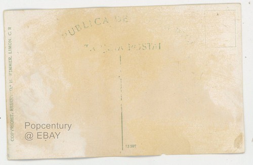 Vintage Postcard 1920s Costa Rica Limon Turtles for Market H. Wimmer Limon Photo - Picture 2 of 2
