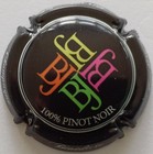 CAPSULE DE CHAMPAGNE - BRISSON JONCHERE  - 100% PINOT NOIR   - N° 26f