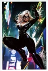 The Amazing Spider-Man #38 Variant Virgin Edition Marvel 2022 Black Cat Cover