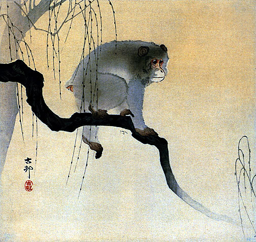 Japanese monkey様 Monkey on Branch 30x44 Ltd. Edition Japanese Print by Koson