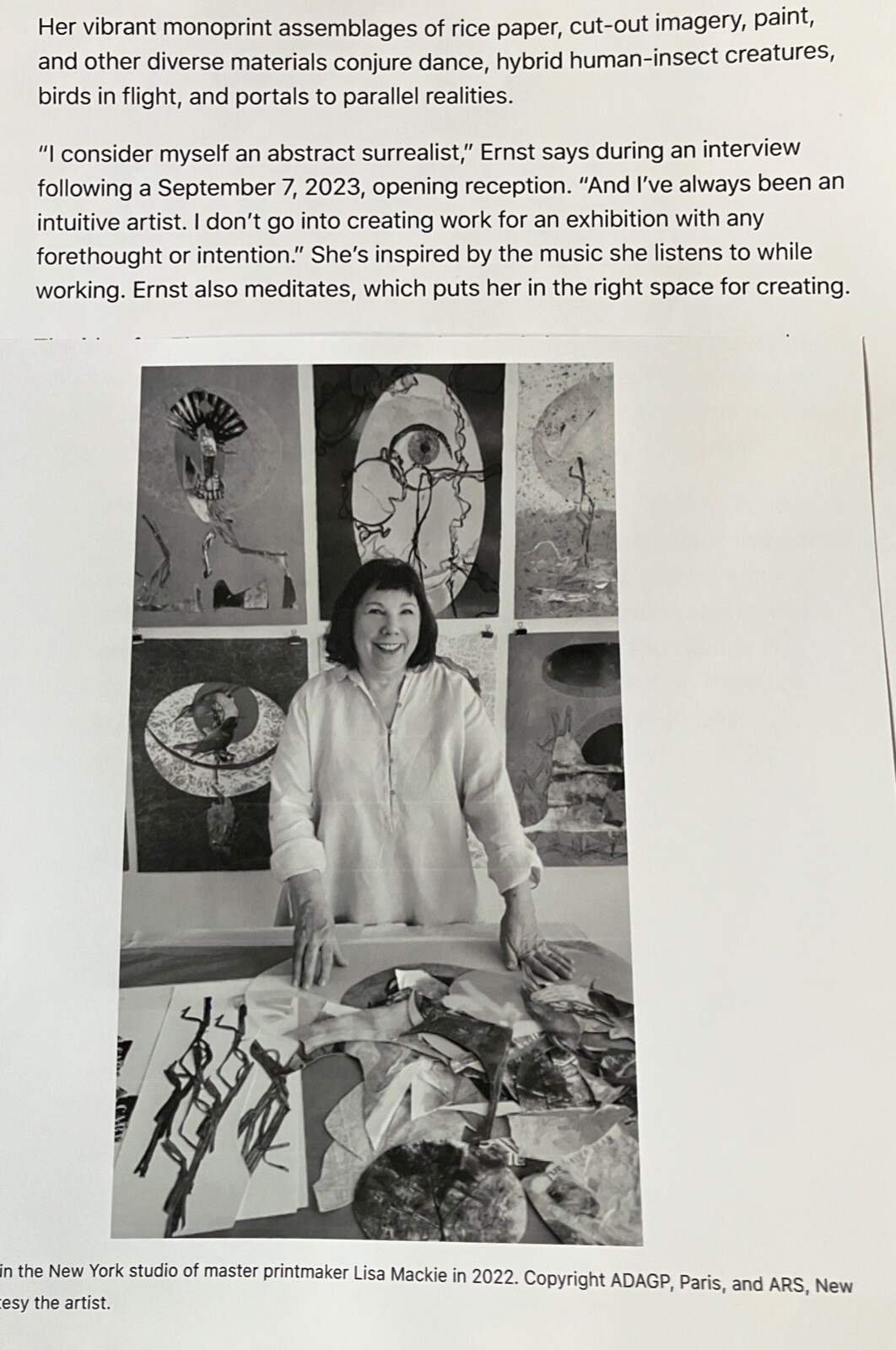 Amy Ernst Hand Signed Etching "Artworld" 1998 15x18x1 3/8 in