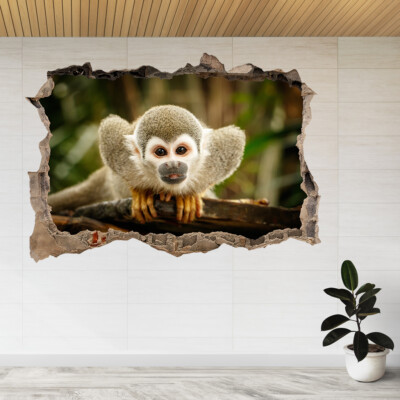 Eichhörnchen Affe Ecuadorianischer Dschungel 3D Smashed View Wandsticker Poster Aufkleber A828