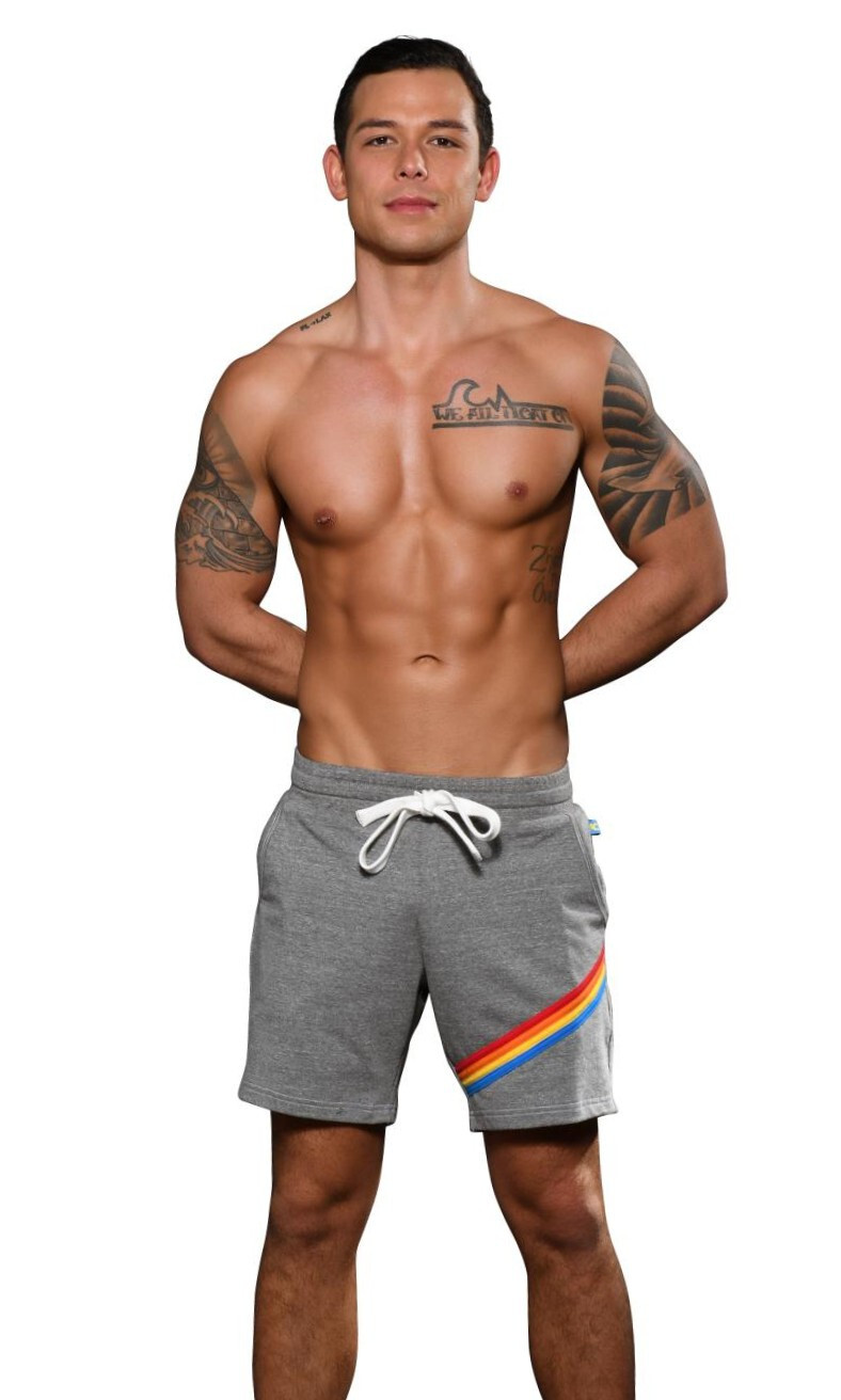 ANDREW CHRISTIAN California Collection Sweatshorts Size Extra Large (XL), Grey