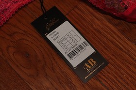 BNWT Dita Von Teese Evelina G-String MSRP $45!!