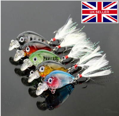 5 Mini kleine Zander Döbel Forelle schwimmend Elritze Kurbelköder Angelköder 