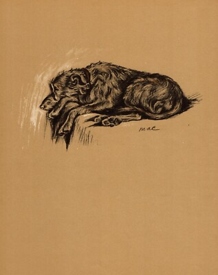 1937 Antique Irish Wolfhound Print Wall Art Decor Lucy Dawson Illustration 5596p