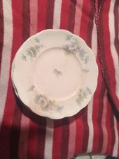 Homer Laughlin "The Angelus"  White Daisies 8 Pc. Set, 8" Salad Plates