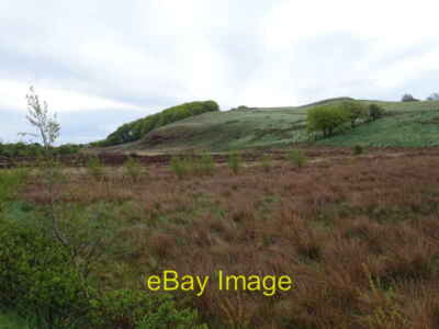 Foto 6x4 Grobe Beweidung Richtung Cairn Hill Windy-Yett\/NS4750 um 2021