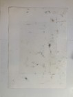 Bild 8 von 12