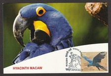 (BL) India 2016 EXOTIC BIRDS Maxi card - HYACINTH MACAW