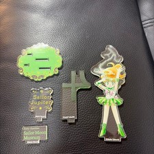 Sailor Jupiter Moon Museum Original Acrylic