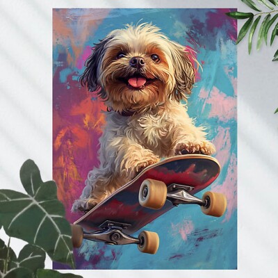 Shih Tzu Hund auf Skateboard   Poster Schöne Wanddeko Dekoration