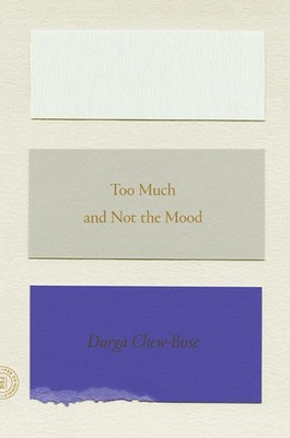 Too Much and Not the Mood Durga Chew-Bose Taschenbuch Kartoniert / Broschiert