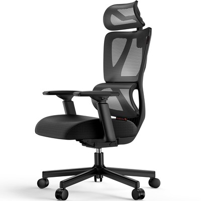 ProtoArc Ergonomic Office Chair, EC100 Big and Tall Mesh Computer Desk Chair ...