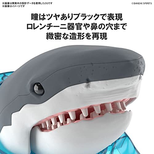 Tiburón Blanco Grande Plástico Teñido Modelismo Set Bandai Spirits Juguete - Imagen 5 de 5