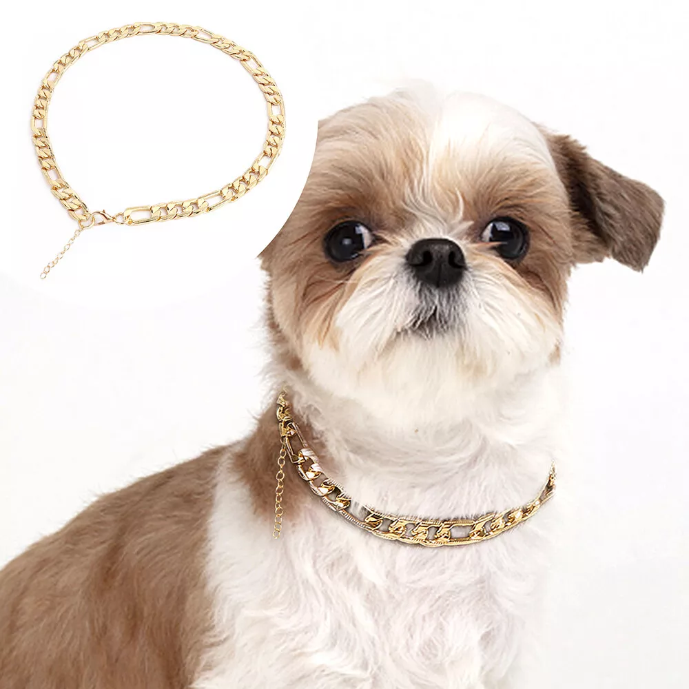 Gold Plastic Dog Collar Link Chain Puppy Necklace Cute Jewelry for Chihuahua