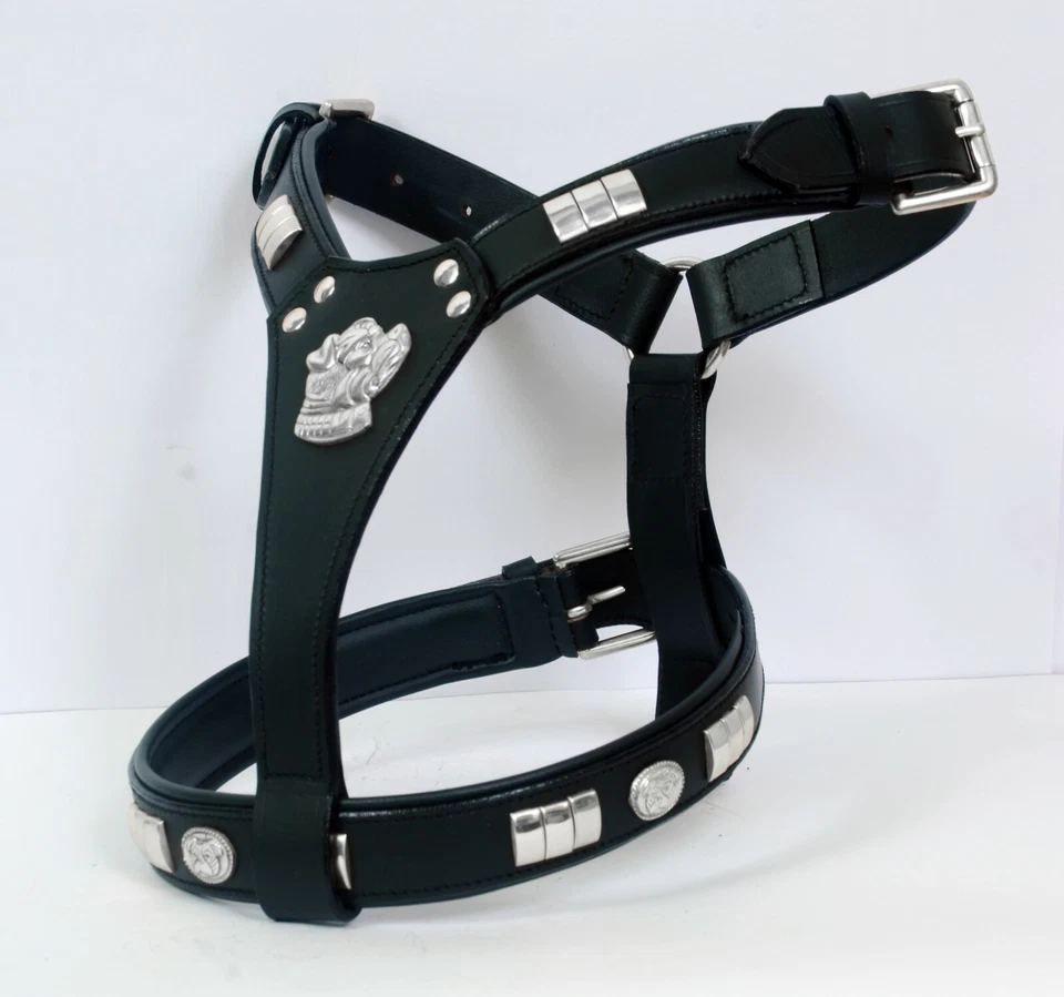 DOG LEATHER HARNESS STAFFY  MOTIFF FULLY PADDED CHROME FITTING IN 6 COLOUR - Image 2 of 4