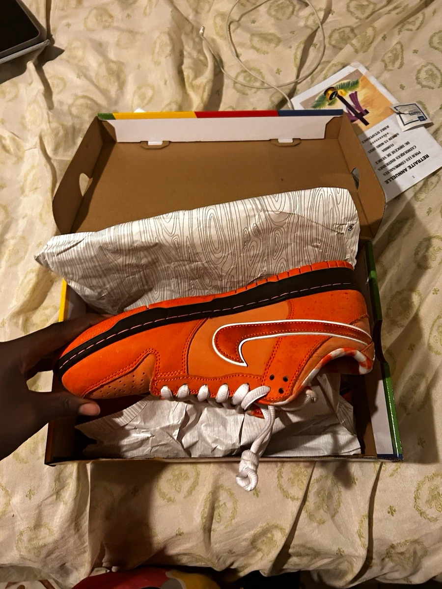 Nike SB Dunk Low Men’s Skateboarding Low Top Lace-Up Sneaker Orange/White/Black