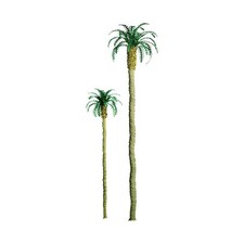 Palm 6.' Pro 2pk