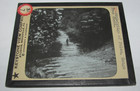 Vintage Antique 1900s Lot Of 8 Keystone View Company Glass Slides Agriculture — photo 8