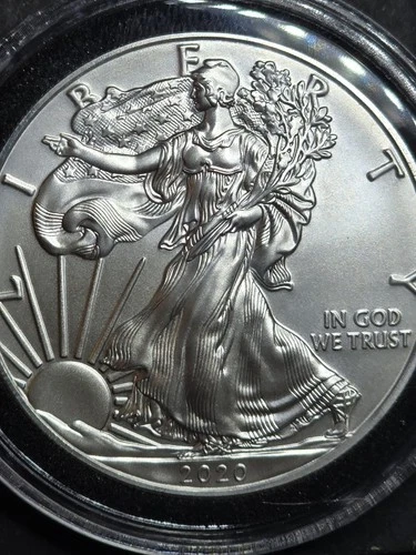 2020 Silver American Eagle $1 - BU - Brilliant Uncirculated - In Capsule