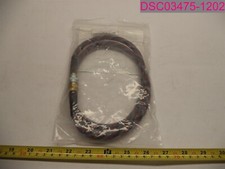 Amped Custom Lines 36" Standard AMPLINE-36-DQD Patriot