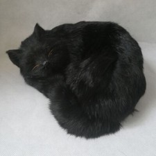 simulation black cat model plastic furs sleeping cat doll gift about 25x21cm