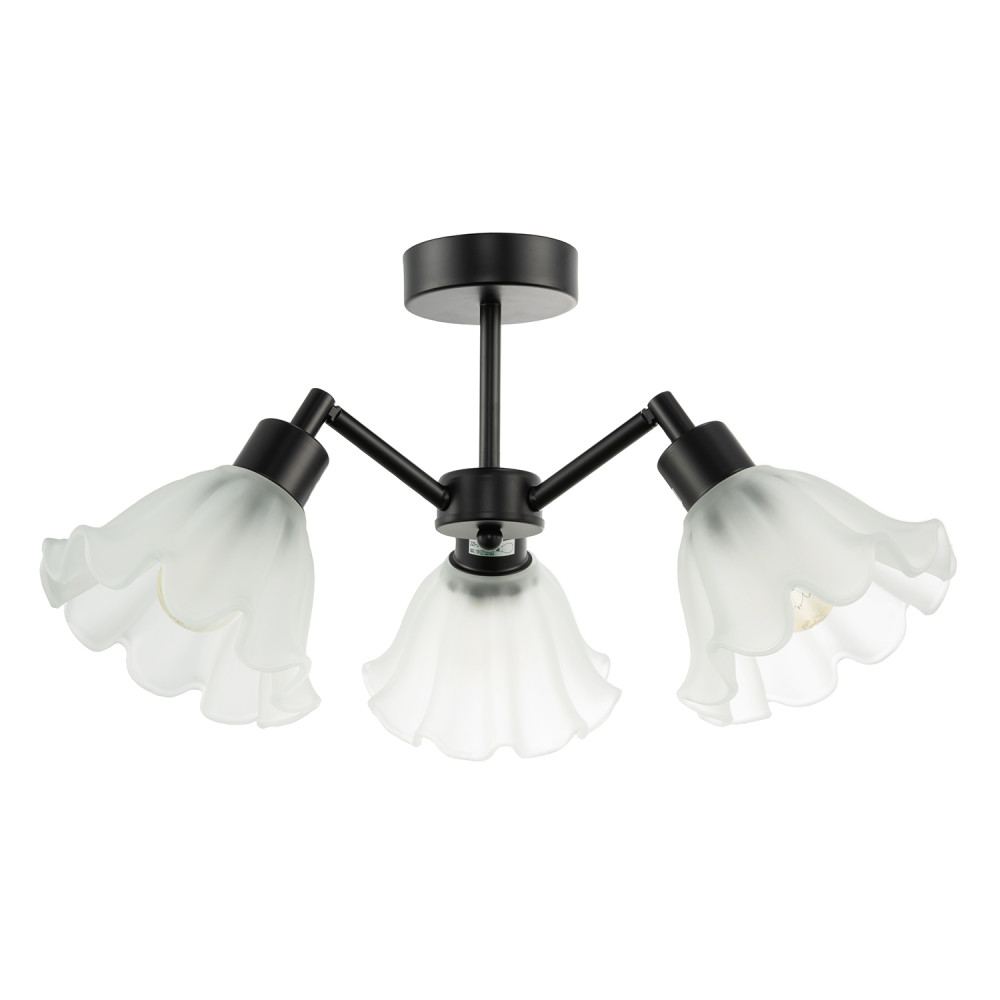 Traditional Black Ceiling Light with Frosted Scallop Glass Shades by Happy Ho...