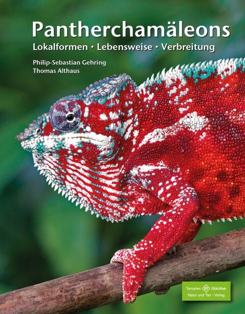 Thumbnail - Pantherchamäleons Philip-sebastian Gehring