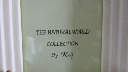 RAJ Natural World Collection LEUCHTTURM SEGELBOOT TEDDYBÄR BILDERRAHMEN ~ NEU IM KARTON - Bild 3 von 3