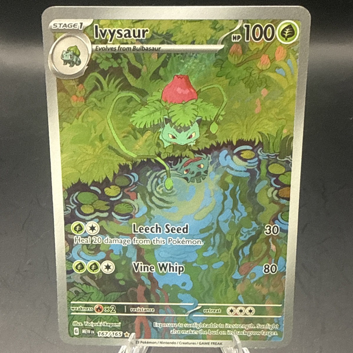 Ivysaur 167/165 Scarlet & Violet Pokemon 151 IR Illustration Rare | eBay