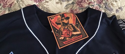 NWT~Headgear Classics Negro League Baseball Jersey Every Teams Logo Patch~M ⚾️ - Picture 8 of 18