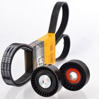 CONTITECH 6PK1733 Cinghia trapezoidale + rullo per generatore BMW Serie 3 E36 Z3 1.9