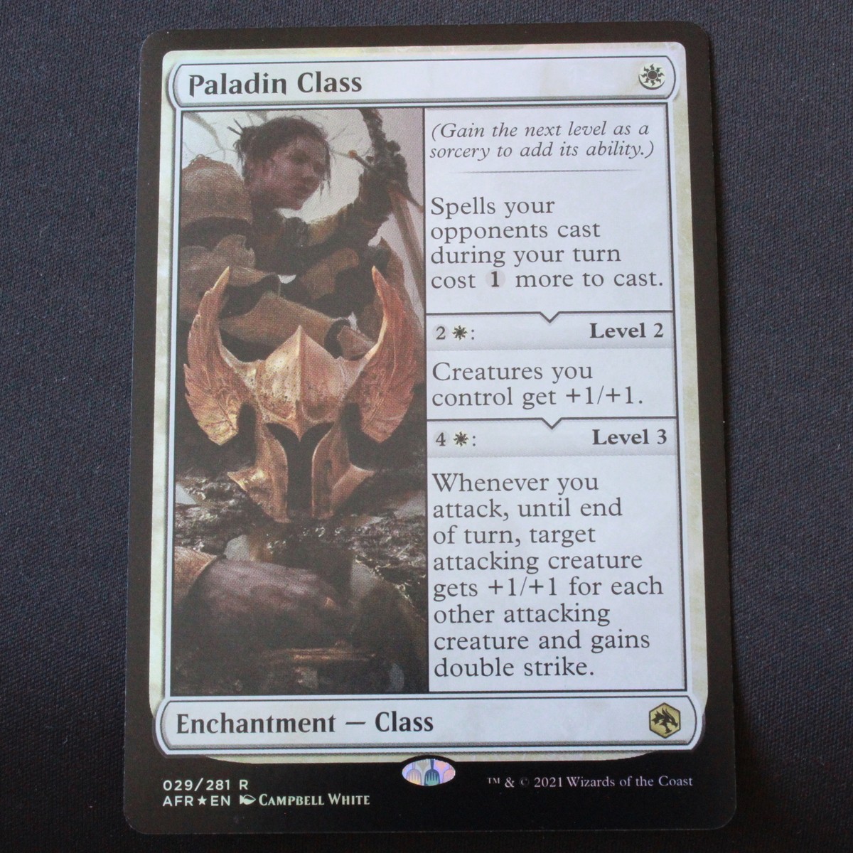 Paladin Class FOIL MTG Adventures in the Forgotten Realms Rare 29 NM