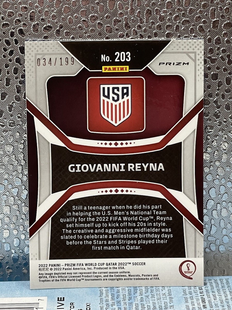 2022 PANINI PRIZM  ジョバンニ・レイナ

アメリカ代表 2022 PANINI PRIZM ROAD TO WORLD CUP QATAR GIOVANNI REYNA