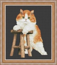 Cross stitch kit My kitten 26x30cm Aida 16ct embroidery needlepoint kit