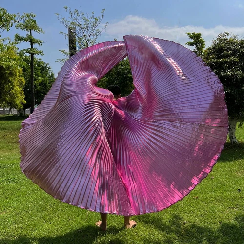 Transparent Belly Dance Wings Stage Performance Dancing Props - Picture 11 of 42