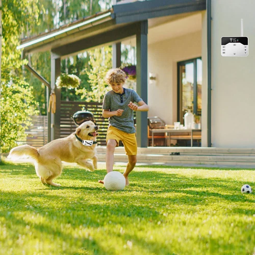 Recinzione Elettrica per Cani 2 in 1 Wireless Recinzione per Cani Collare Sistema di Contenimento per Animali Domestici - Foto 57 di 68