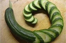 RARE✿ Heirloom Dark Green Armenian Cucumber 15 seeds ●Fragrant Flowers