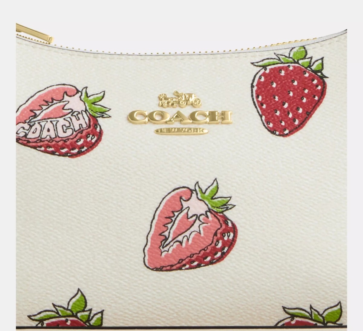 NWT Coach Teri Shoulder Bag With Strawberry Print CAL62 | eBay