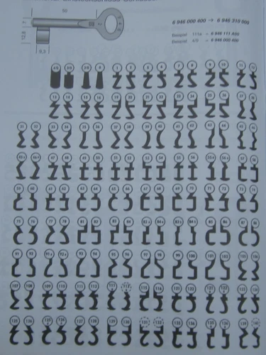 Room Door Key Cichlid Key BB Beard Key Series 1 6 946 No. 1 - 314