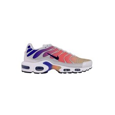 Shoes Nike Air Max Plus Tn Platinum DZ3670003