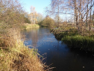 Photo A2 Wildside at the London Wetland Centre Barnes This is the area k c2016