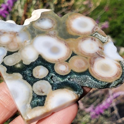 Ocean Jasper Gemmy Maravato Orbicular Slice Tile Slab 68 grams