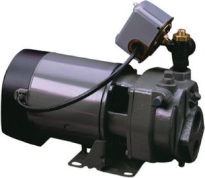 pump well jet deep 1hp flint walling convertible includes switch iron cast