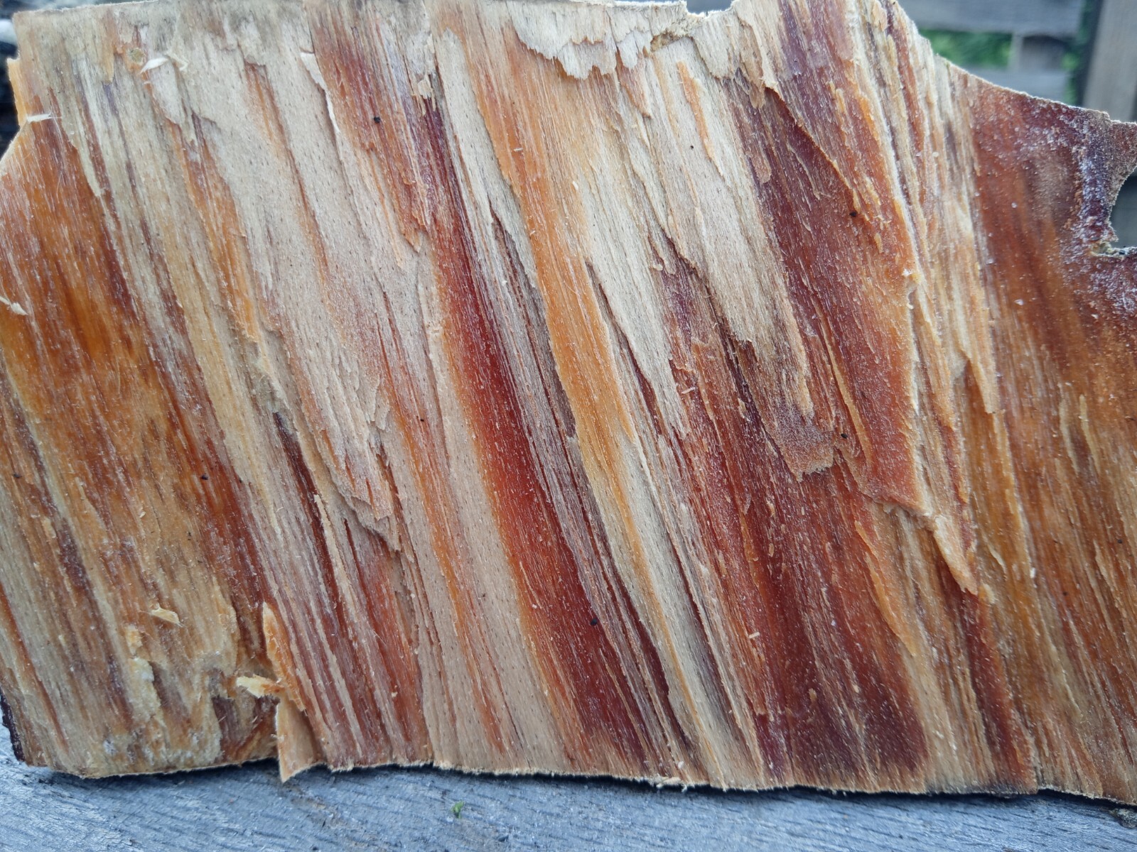 Knot / Fatwood
