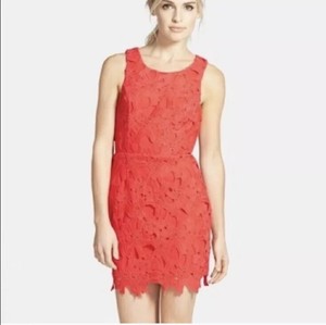 astr the label lace mini dress